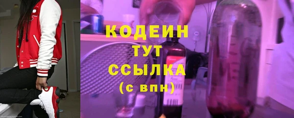 ПСИЛОЦИБИНОВЫЕ ГРИБЫ Арсеньев