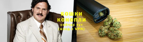 ПСИЛОЦИБИНОВЫЕ ГРИБЫ Арсеньев