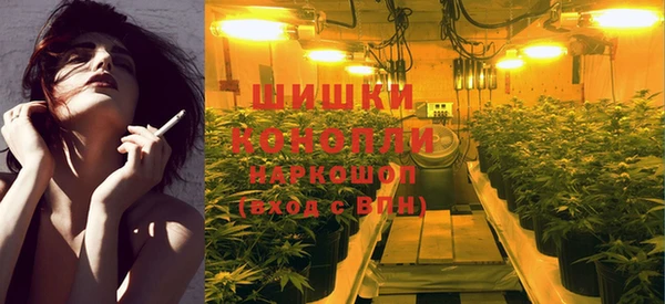 ПСИЛОЦИБИНОВЫЕ ГРИБЫ Арсеньев