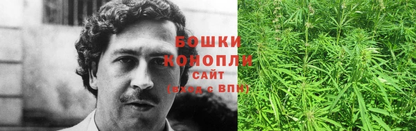 бошки Аркадак