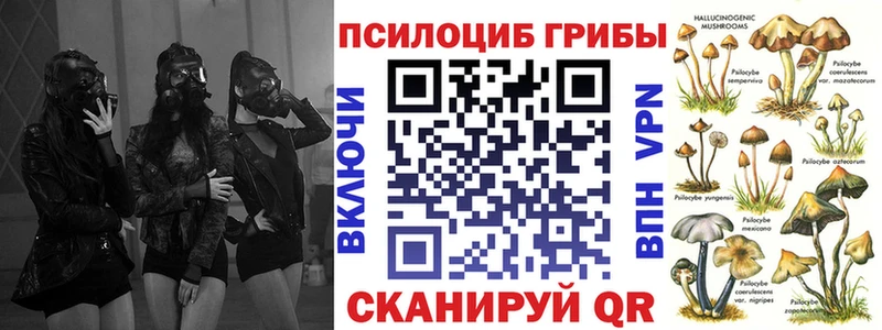Псилоцибиновые грибы Cubensis  Купить  Невельск 